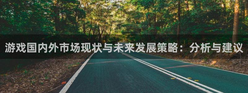 bg大游技术有限公司官网