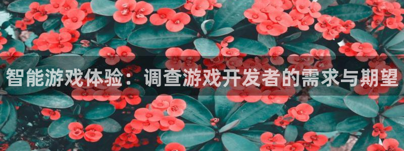 bg大游官网登录注册失败怎么回事：智能游戏体验：调查游戏开发者的需求与期望