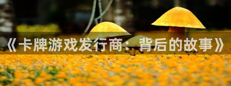 广州bg大游网络科技有限公司怎么样：《卡牌游戏发行商：背后的故事》