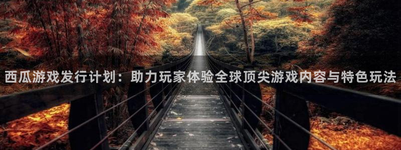 bg大游官网注册平台官网下载：西瓜游戏发行计划：助力玩家体验全球顶尖游戏内容与特色玩法