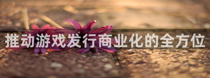 bg大游官网客服服务电话号码