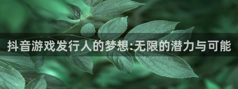 广东bg大游电子科技有限公司 联系电话：抖音游戏发行人的梦想:无限的潜力与可能