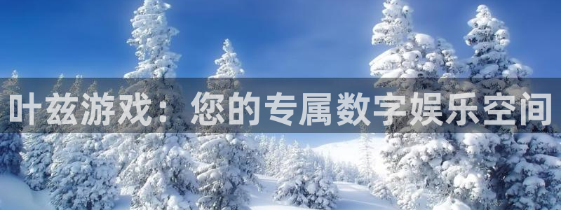 bg大游官网登录注册账号失败怎么回事：叶兹游戏：您的专属数字娱乐空间