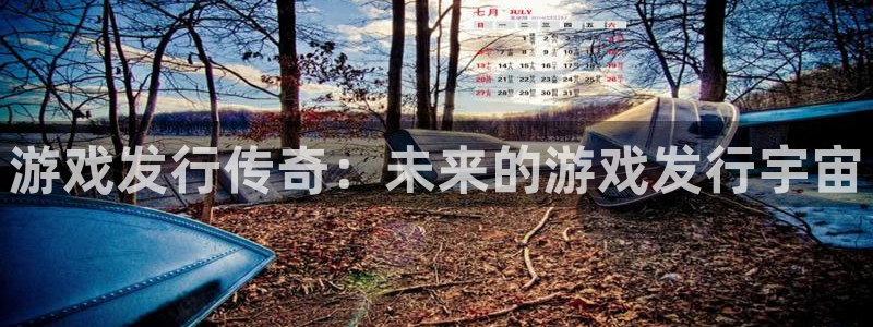 bg大游官网登录注册账号失败：游戏发行传奇：未来的游戏发行宇宙