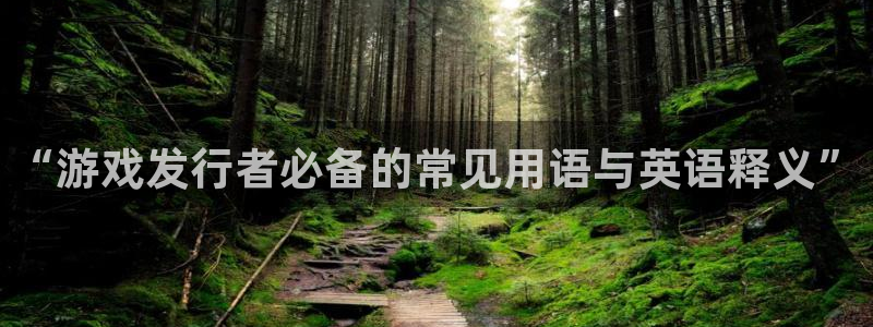 bg大游是什么