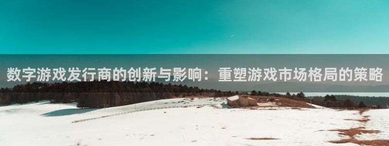 bg大游子音乐：数字游戏发行商的创新与影响：重塑游戏市场格局的策略