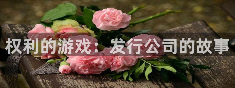 bg大游子财经图书：权利的游戏：发行公司的故事