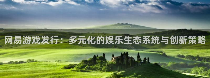 bg大游官网登录注册不了：网易游戏发行：多元化的娱乐生态系统与创新策略