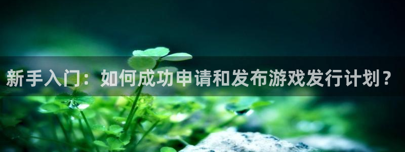 bg大游有什么寓意：新手入门：如何成功申请和发布游戏发行计划？