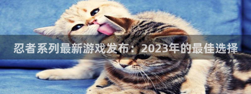bg大游官网是境外的吗