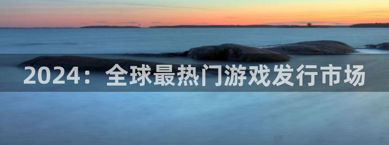 lvncesbg大游衣服价格：2024：全球最热门游戏发行市场