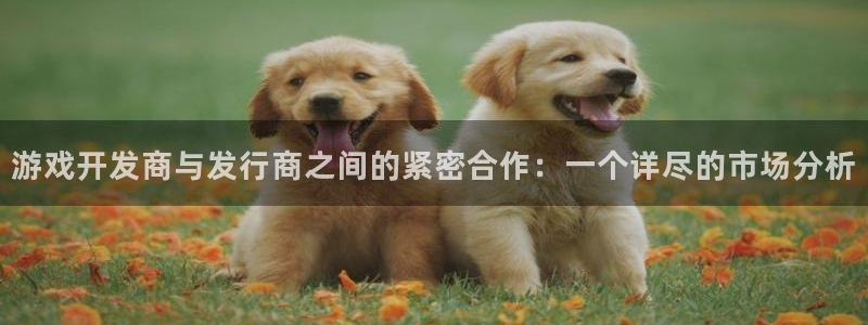 bg大游官网注册方法有哪些软件：游戏开发商与发行商之间的紧密合作：一个详尽的市场分析