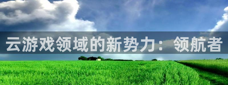 广东bg大游营销策划有限公司