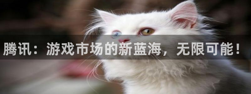 bg大游子经理人一共出了多少本