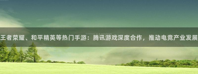 bg大游lvnces官网