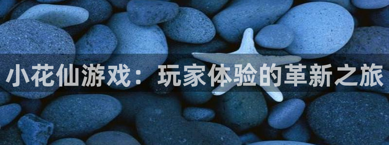 苏州bg大游网络科技有限公司